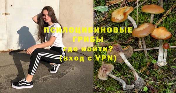 прущие грибы Алексин