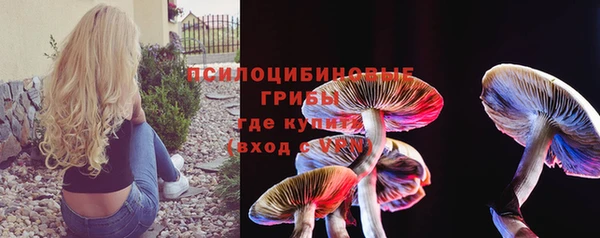прущие грибы Алексин
