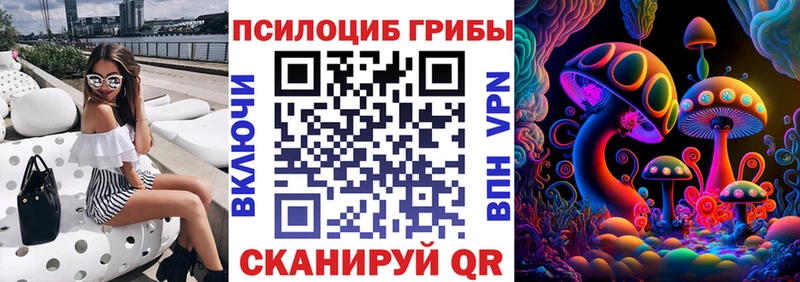 Псилоцибиновые грибы прущие грибы  где купить наркотик  Черноголовка 
